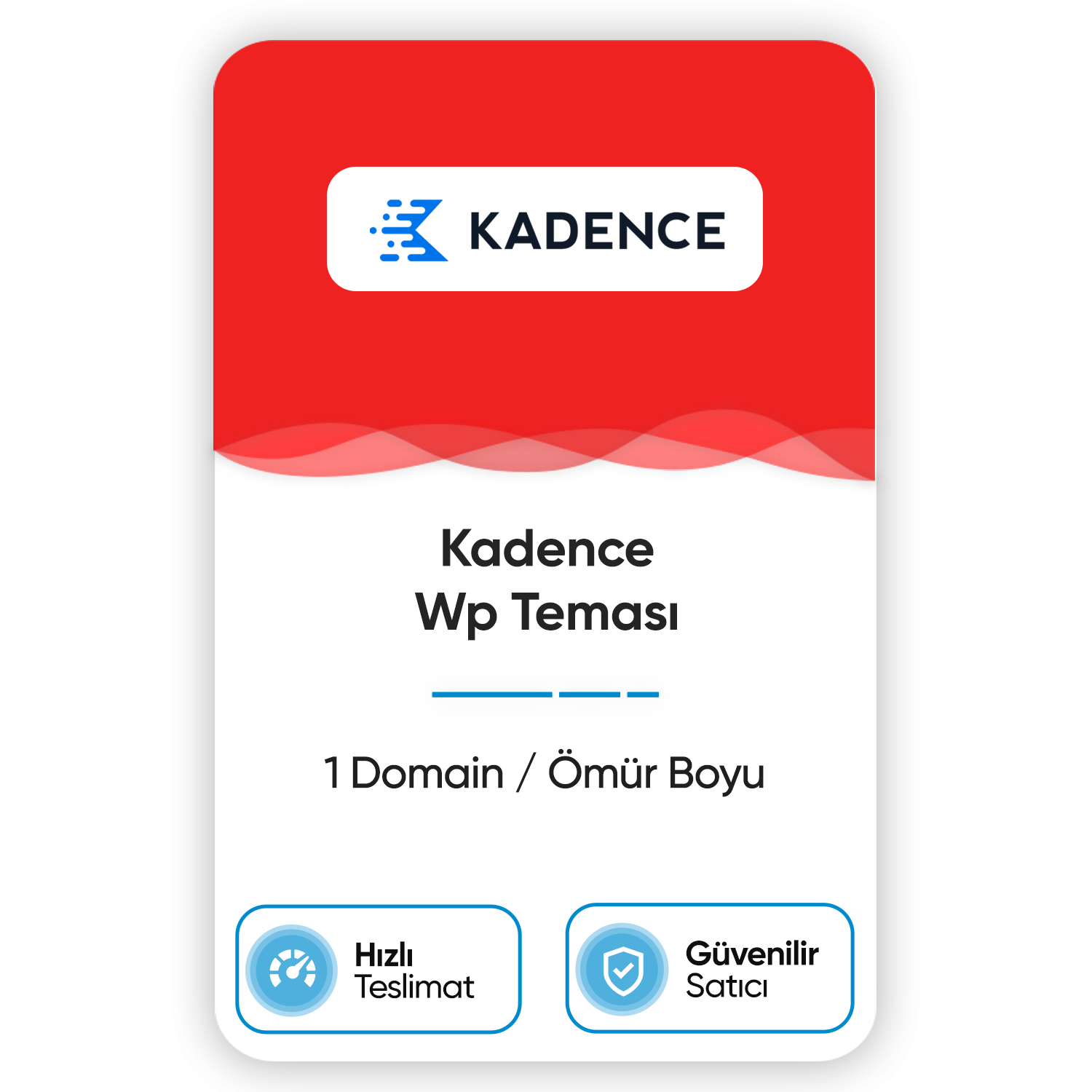kadence-wp-temasi-1-domain-omur-boyu.png