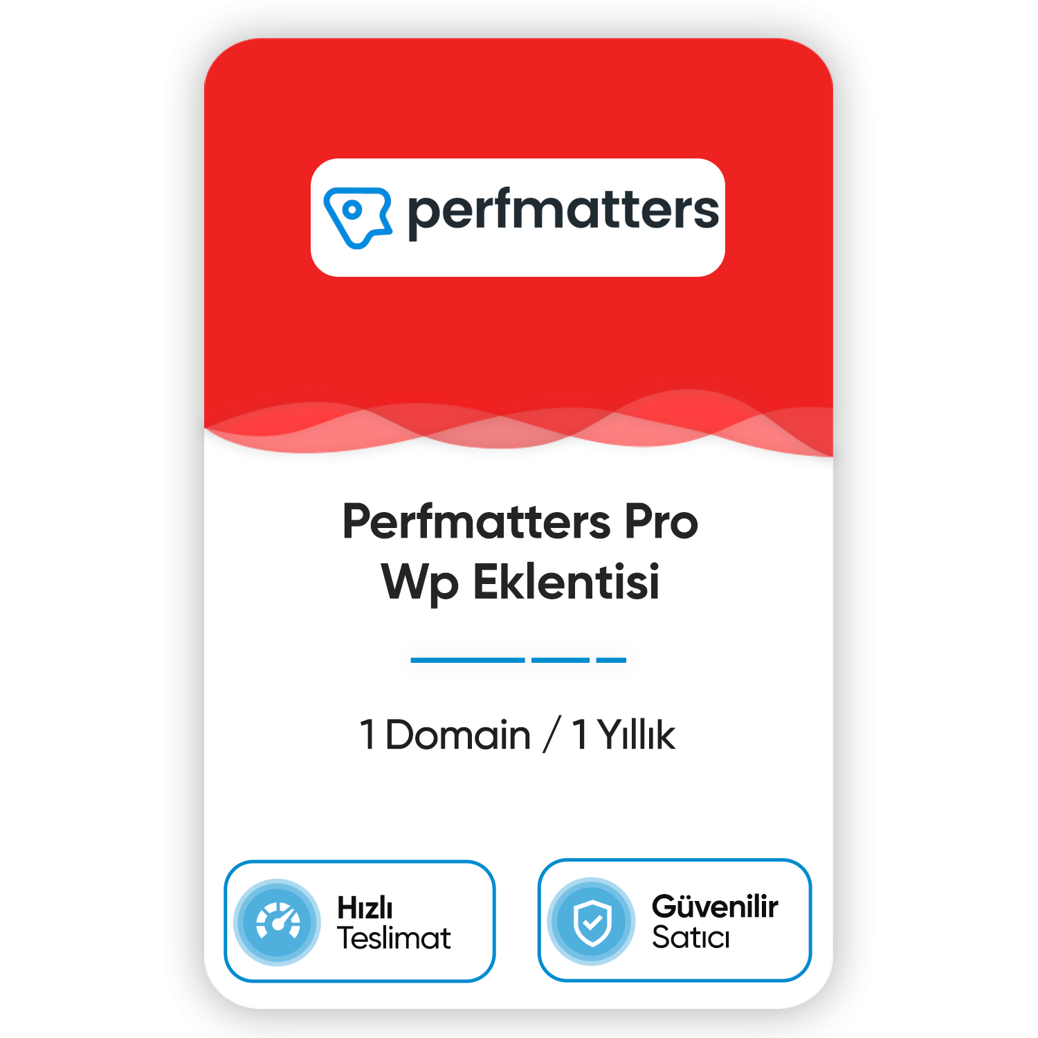perfmatters-pro-wp-eklentisi-1-domain-1-yillik.png