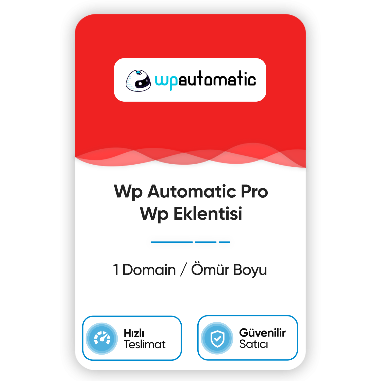 wp-automatic-pro-wp-eklentisi-1-domain-omur-boyu.png
