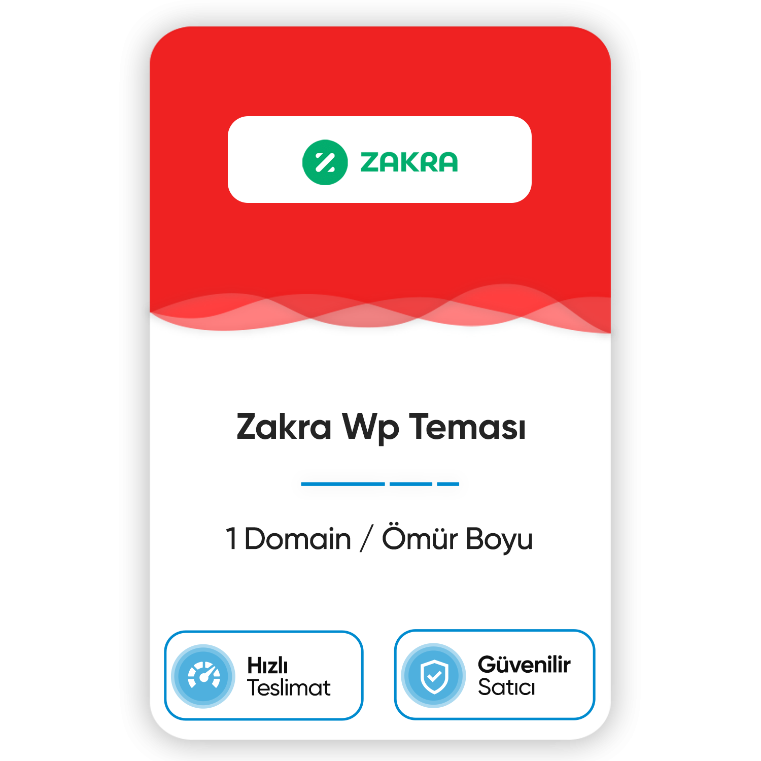 zakra-wp-temasi-1-domain-omur-boyu.png